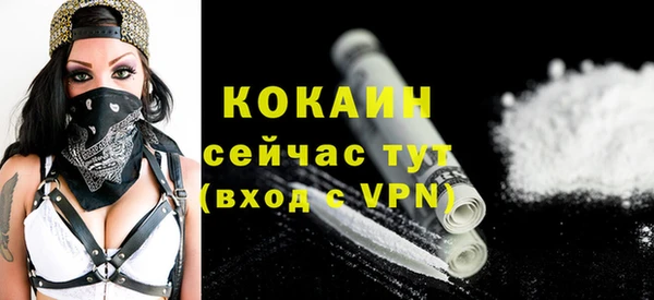 молекула духа Богданович
