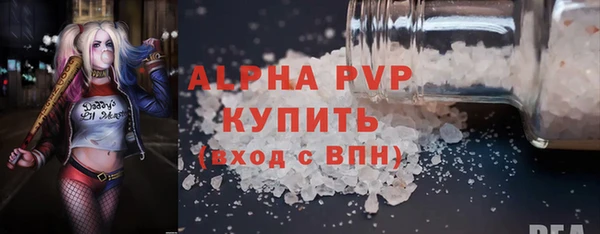 молекула духа Богданович