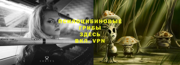 молекула духа Богданович