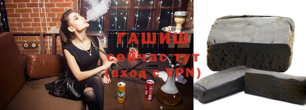 молекула духа Богданович