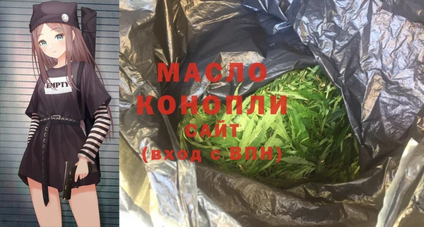 молекула духа Богданович