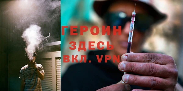 молекула духа Богданович
