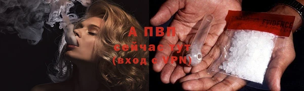 молекула духа Богданович