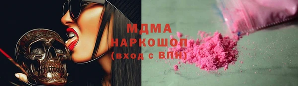 молекула духа Богданович