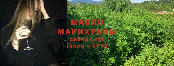 молекула духа Богданович