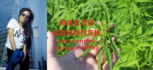 молекула духа Богданович