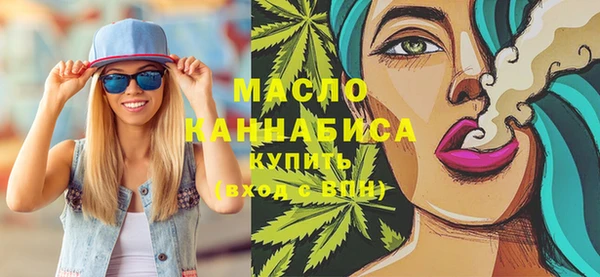 молекула духа Богданович