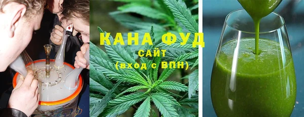 молекула духа Богданович