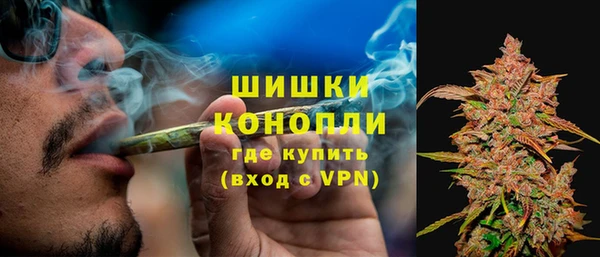 молекула духа Богданович