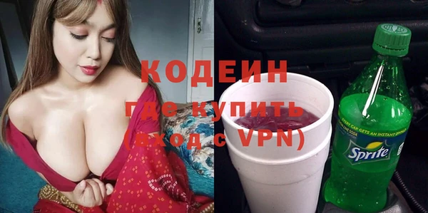 молекула духа Богданович