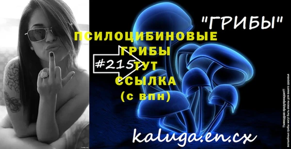 первитин Богородицк